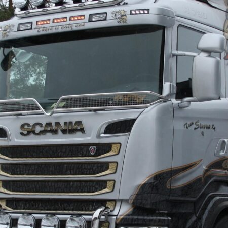 Kuvassa Lintuverkko V2.0 Scania R/P/G 2005-2016