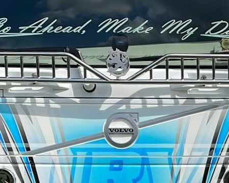 Lintuverkko pystypuikoilla Volvo FH4